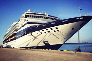 新世纪游轮集团