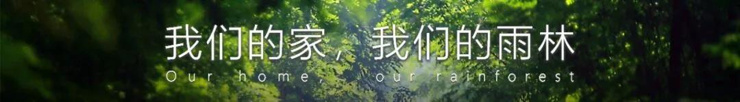 和盛贵宾会|主页