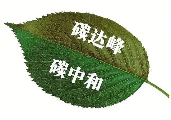 和盛贵宾会|主页